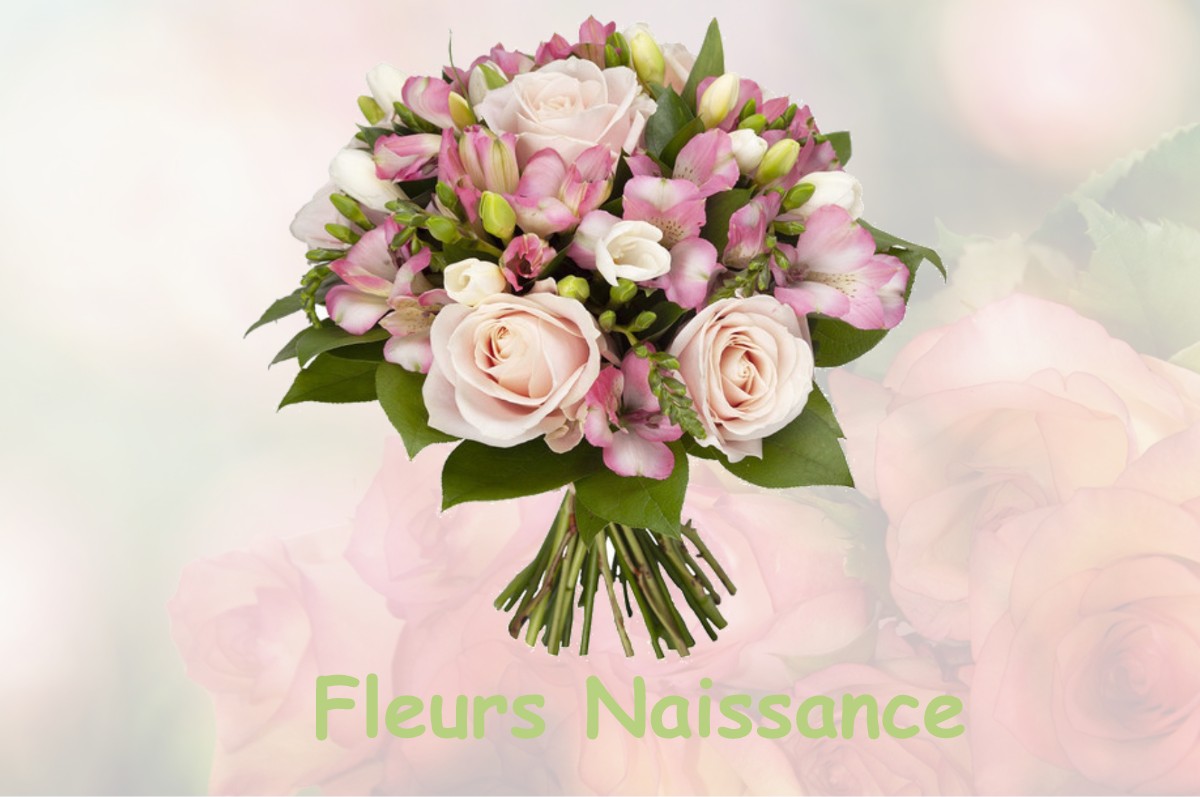 fleurs naissance LE-ROURET