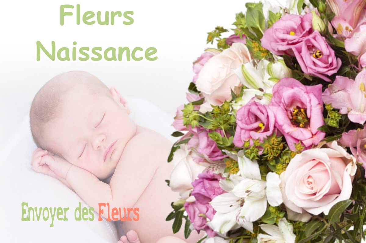 lIVRAISON FLEURS NAISSANCE à LE-ROURET